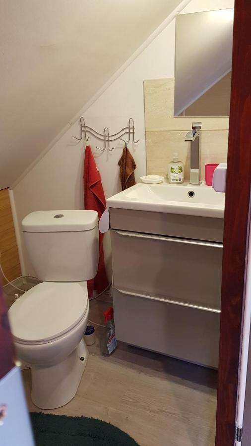 Turystyczny Apartament Na Poddaszu Skoczów Extérieur photo