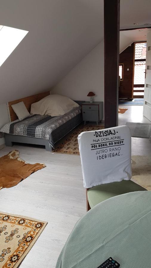 Turystyczny Apartament Na Poddaszu Skoczów Extérieur photo