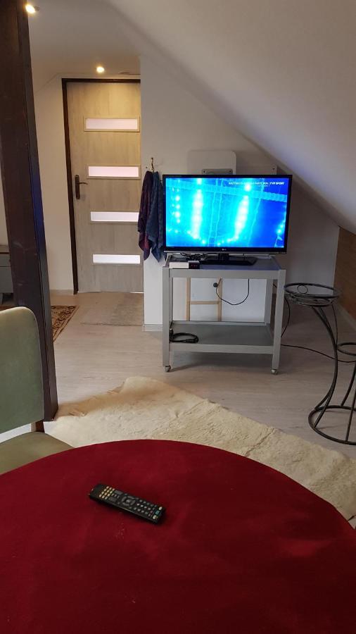 Turystyczny Apartament Na Poddaszu Skoczów Extérieur photo